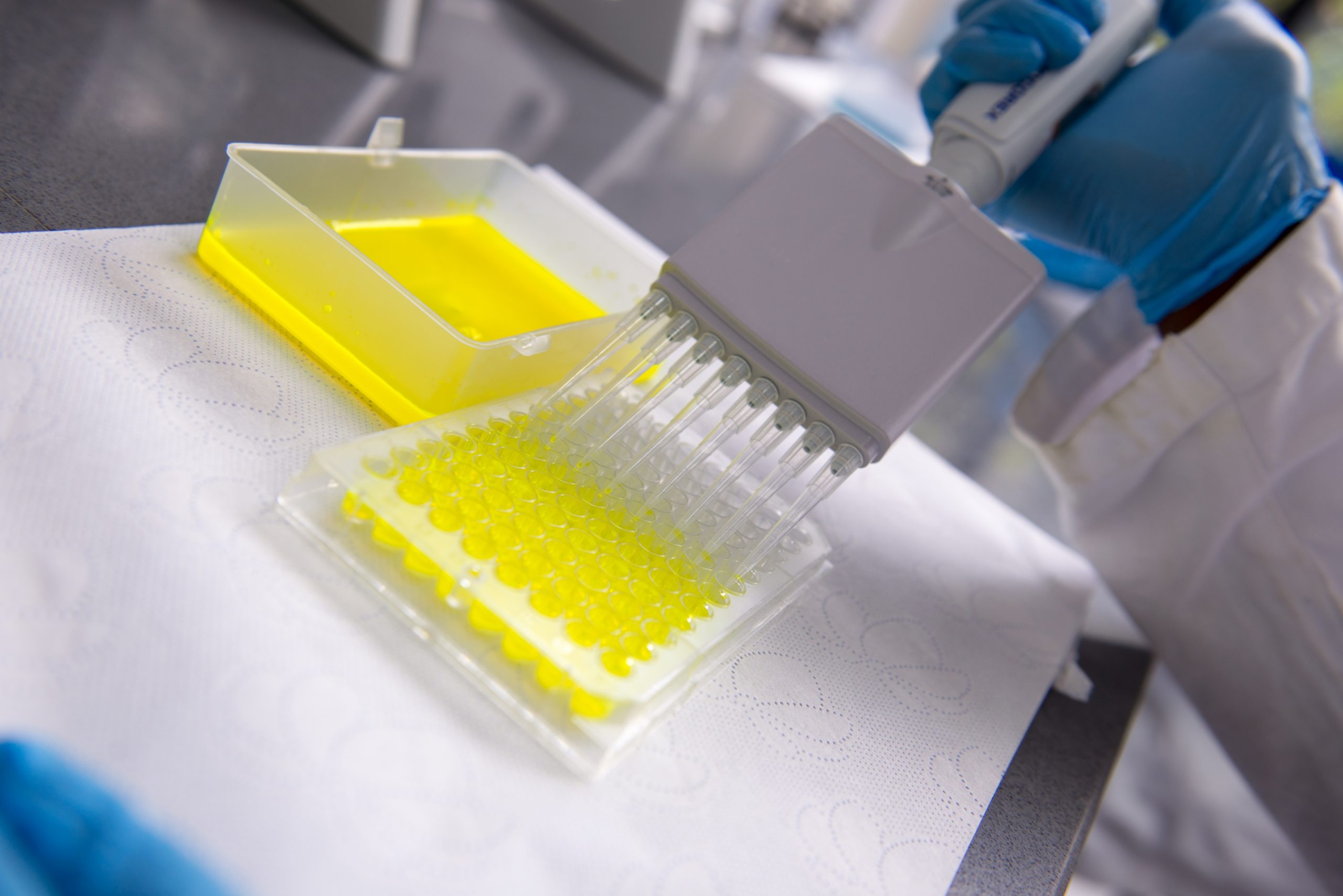 Homepage Slider image